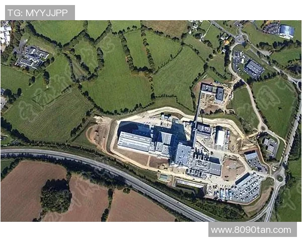 深圳篮球队反击之路：从困境到崛起的全景解析与展望